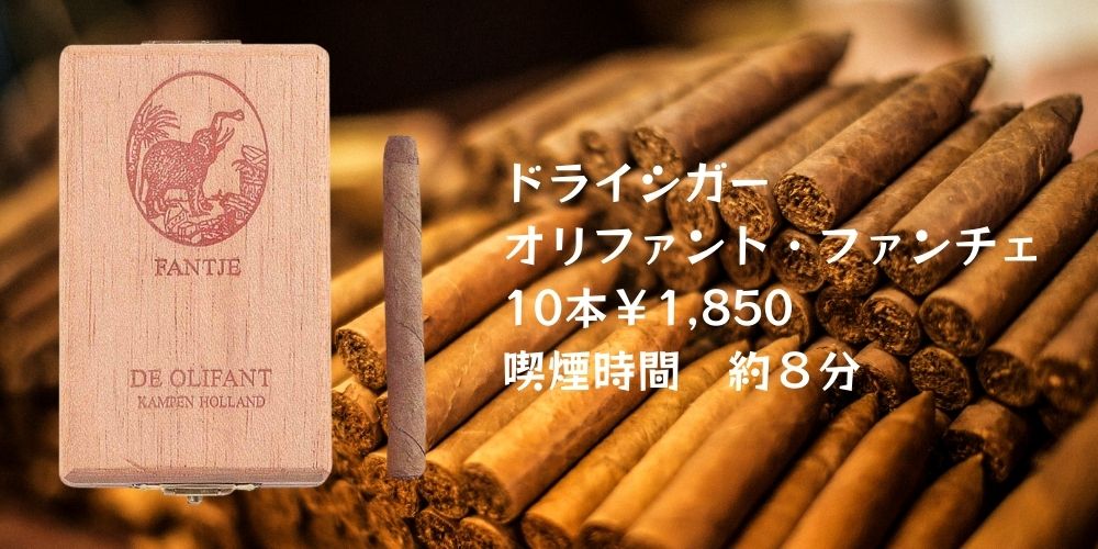 オリファント・ファンチェの説明